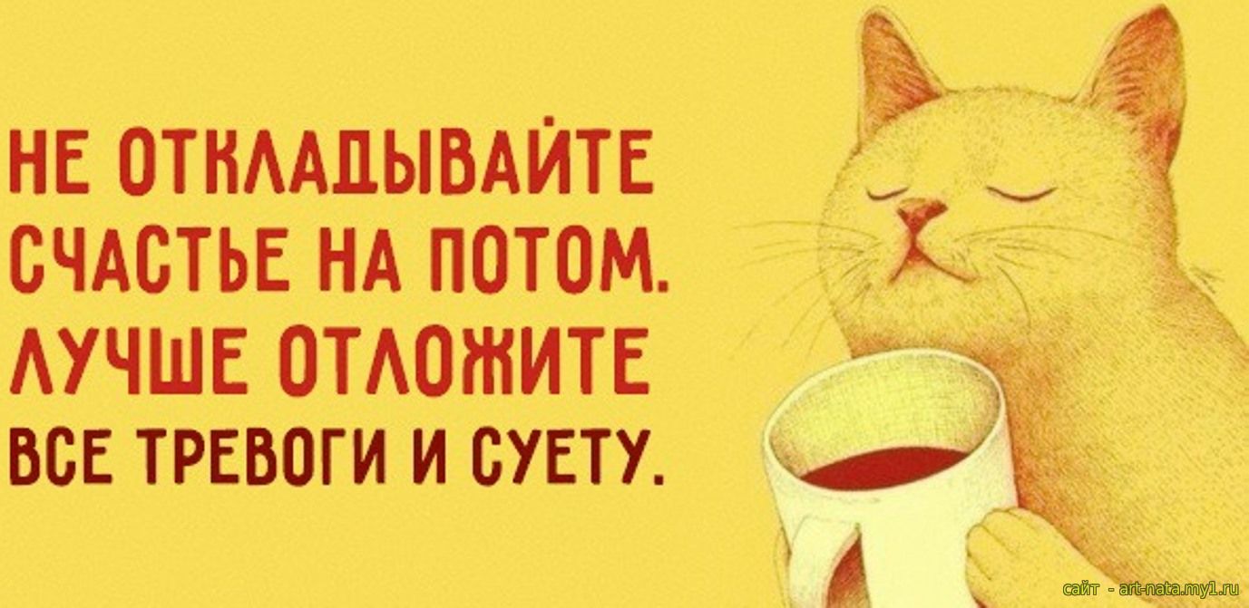 Белые картинки, открытки прикольные со смыслом на каждый день в хорошем качестве