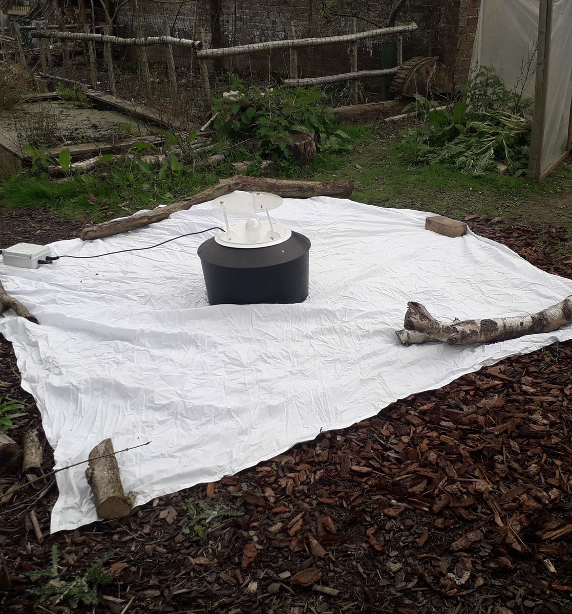 _TomSimpson's tweet photo. Great timing, just set the @GGPWildlife moth trap ready for #mothursday and then the rain started. Hopefully its stopping soon. @SussexWildlife @SussexMothGroup @SxBRC https://t.co/KFTqHKA2TW