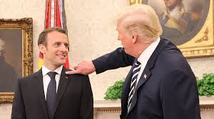 Rosie's tweet photo. "When the aging gorilla is confronted with the much more virile, new alpha male, he shows submissiveness by grooming the alpha male, but the gesture is actually a vain attempt by the old gorilla to humiliate his much younger rival." - Jane Goodall https://t.co/kxnVY0TYIn