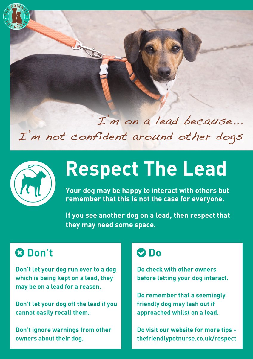 Skinnersdogfood's tweet photo. #RespectTheLead help spread awareness! You can read more on our blog https://t.co/ZFkU044A6M https://t.co/ntViVJtriT