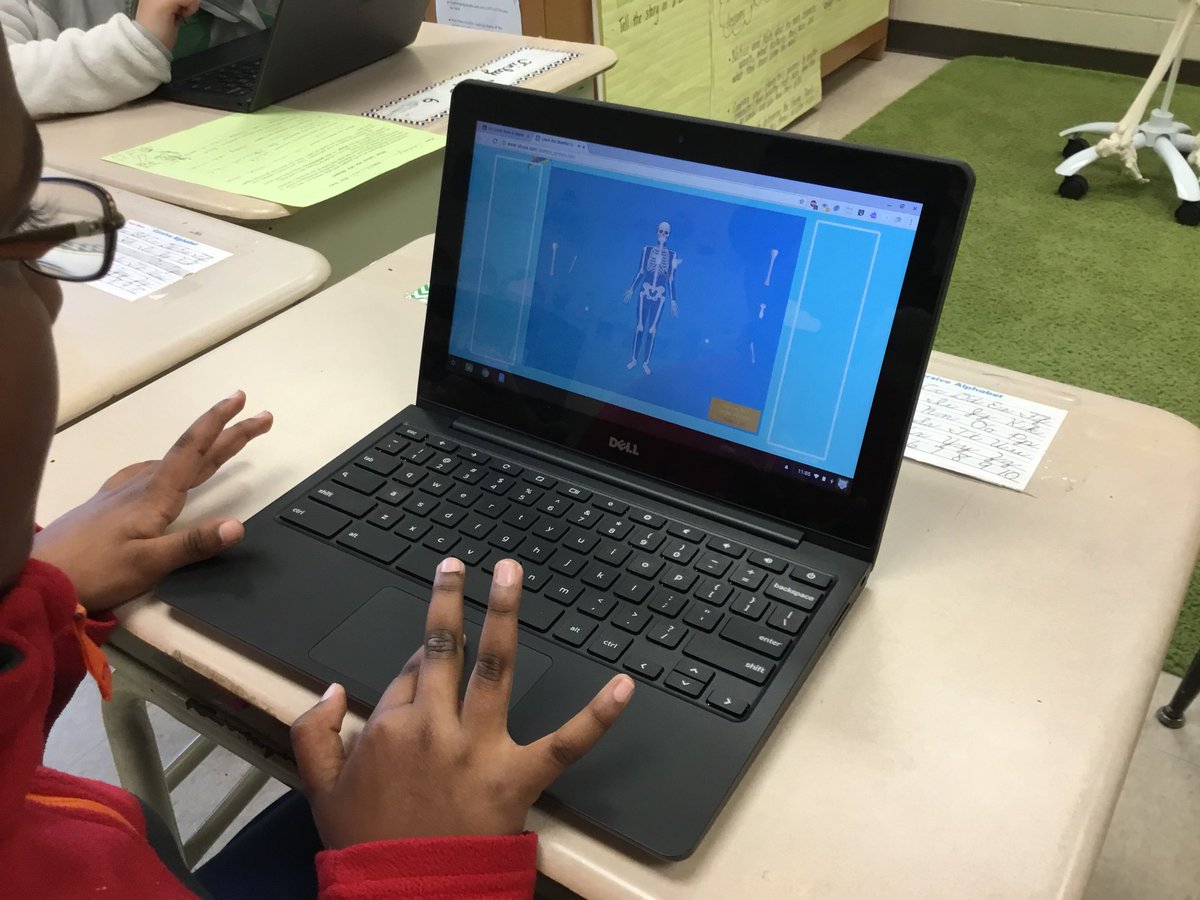 AnthonyBenede20's tweet photo. Anthony Benedetti 
@AnthonyBenede20 
Mr.B’s Health class@CopperHillES
Building the framework of the human body one piece at a time. Great job students no bones about it👍#FRSD https://t.co/CbepTff3Ca