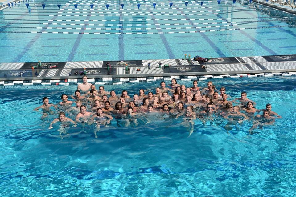 Uindy Swim Dive On Twitter It S Uindyday Please Donate To Uindy Help To Create More Opportunities For Our Student Athletes In The Future Go Hounds Https T Co 4nv8k34hlx Https T Co Bvmaplq92p