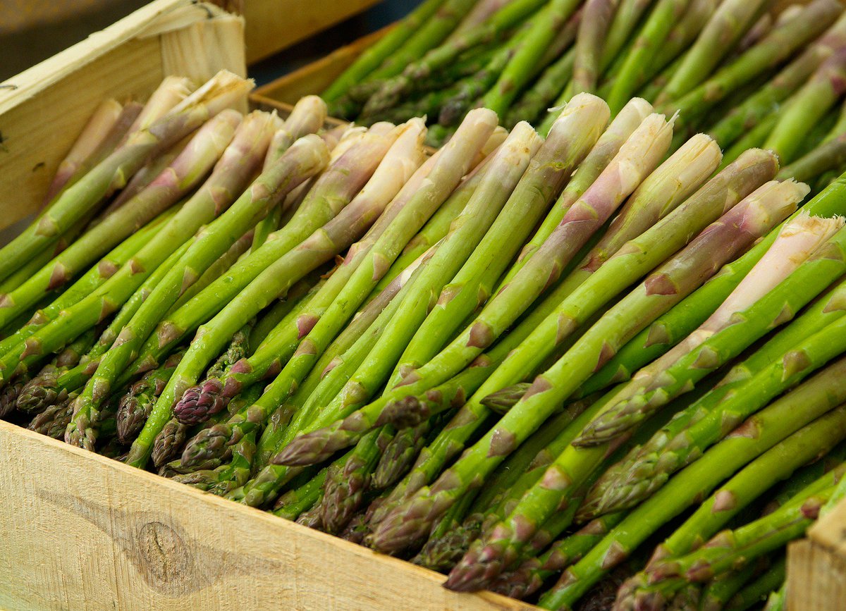 WinesofGermany's tweet photo. With the season is in full swing, we're enjoying some #GermanWineWith fresh #asparagus this week! Go for an aromatic Silvaner or a citrussy Riesling for a perfect pairing. https://t.co/d92P0JoD1v