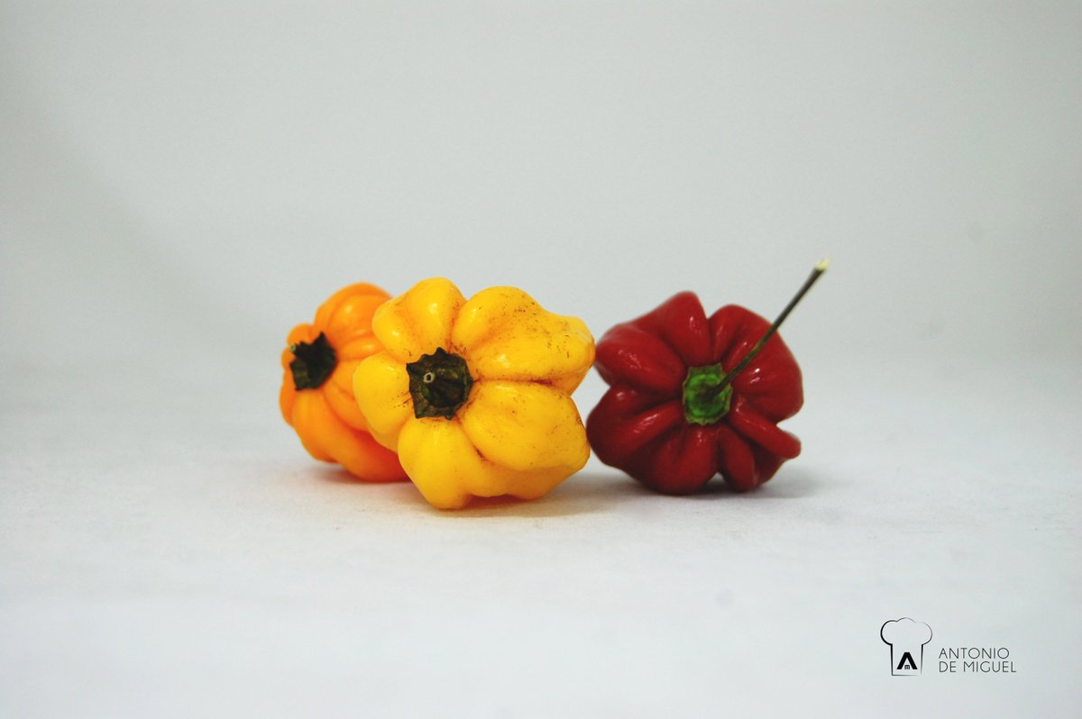 Antonio de Miguel SA tweet media