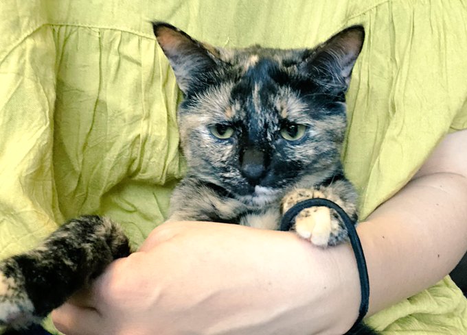 真希 高画質 のtwitterイラスト検索結果 古い順