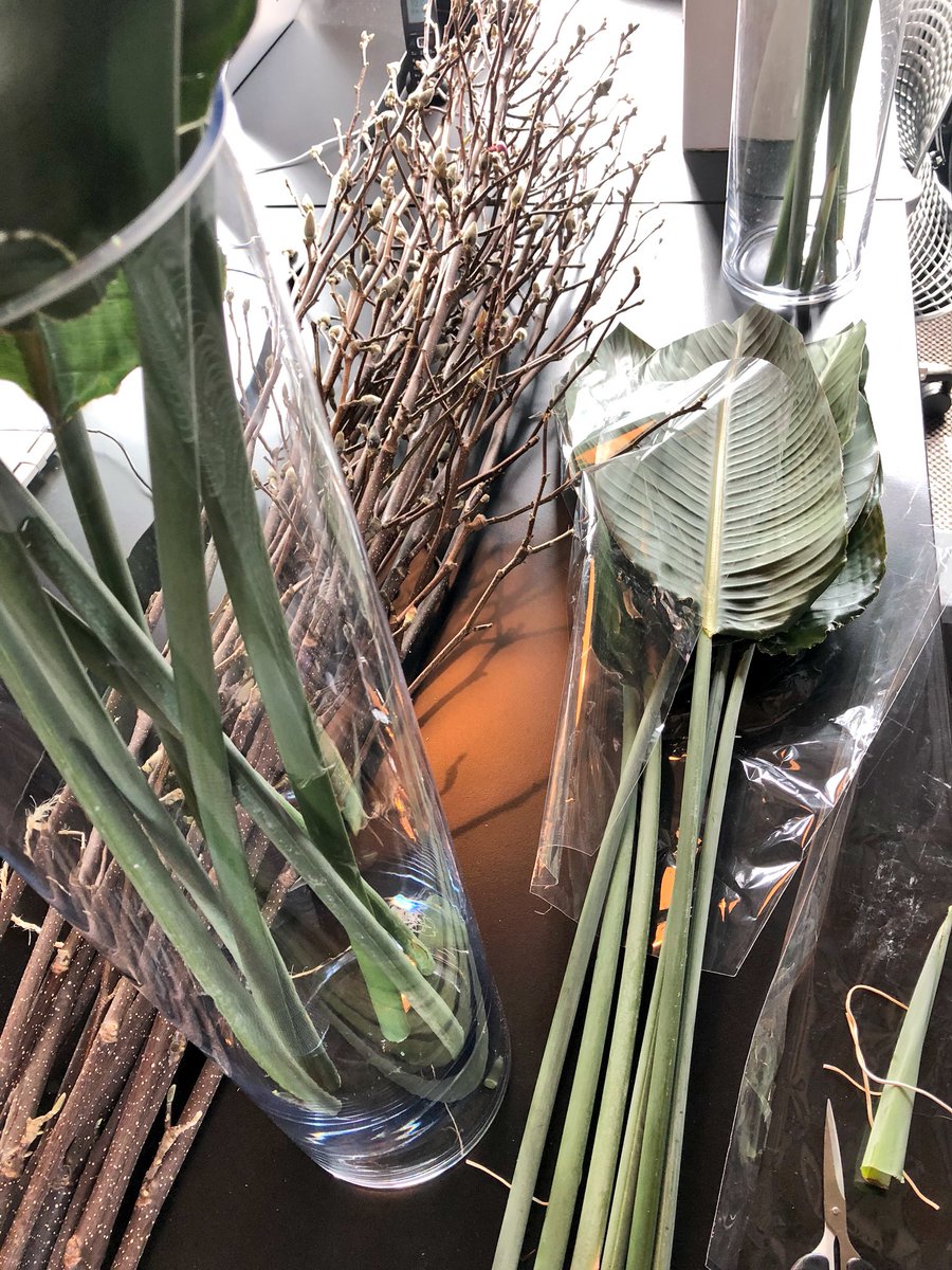 Rachel_Usher's tweet photo. Preparation for our Open Studio Event has begun... #interiorexperience 🌿🌱🌴 https://t.co/UEU8Q3Psn8