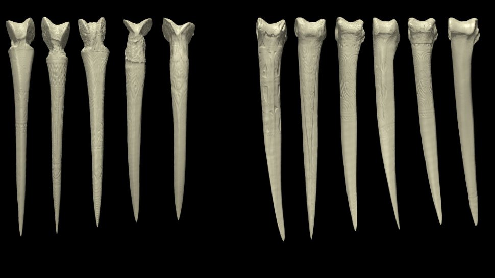 “Why Papuan men made daggers from human thigh bones https://t.co/XvKEiyorQt...