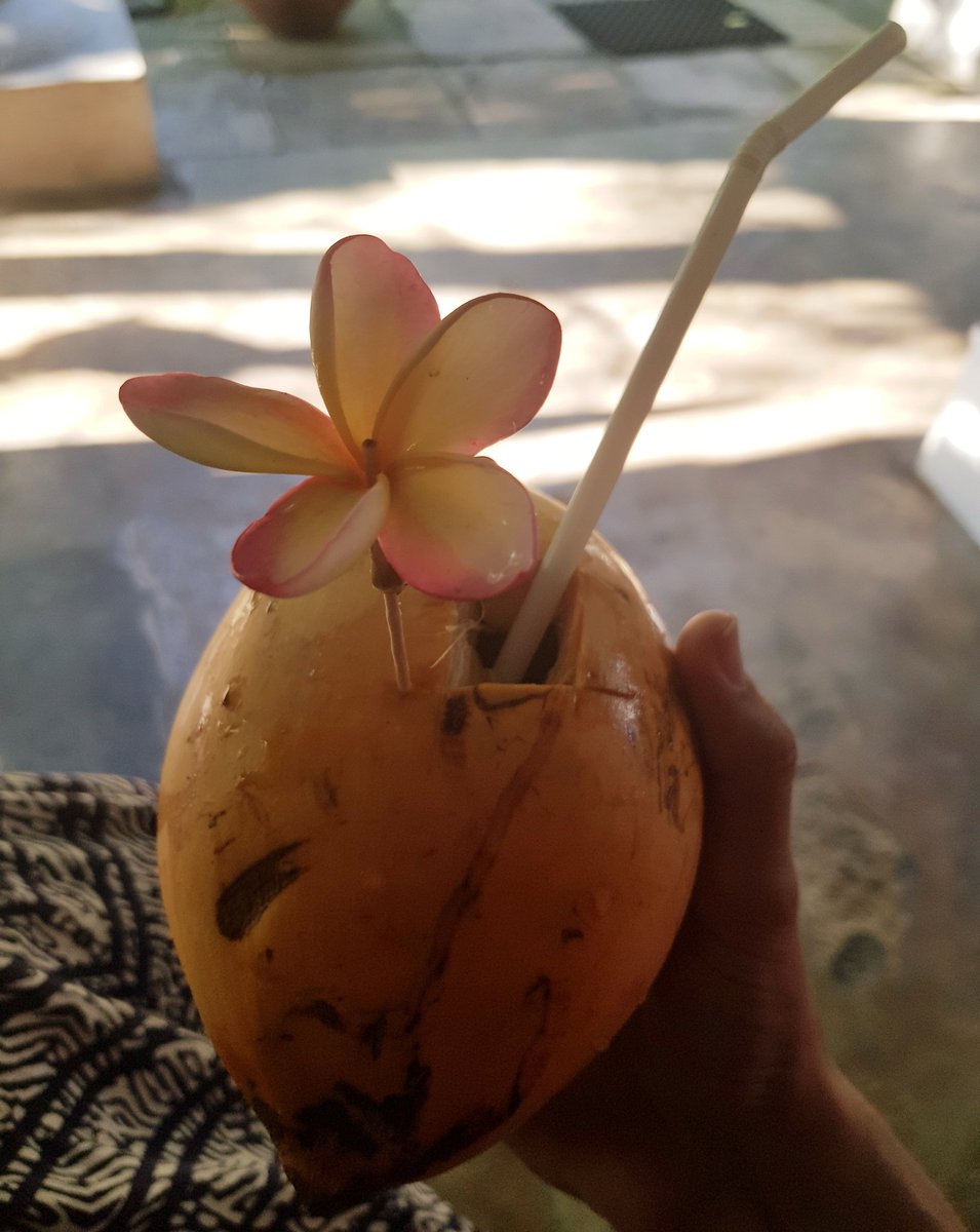 livdon84's tweet image. Tho gonna  have a wee delay to decision making and just celebrate I got offer with a king coconut and enjoy last day of holiday. Pondering life chocie can wait till 15hr flight home! #happy #joboptions #amazed #coconutcelebrations #srilanka 🥥🌴
