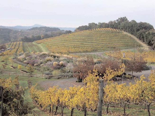 Managing pests through plant diversification

Creating habitats for natural enemy species on the least productive parts of the farm is an important strategy. goo.gl/cgoyBy