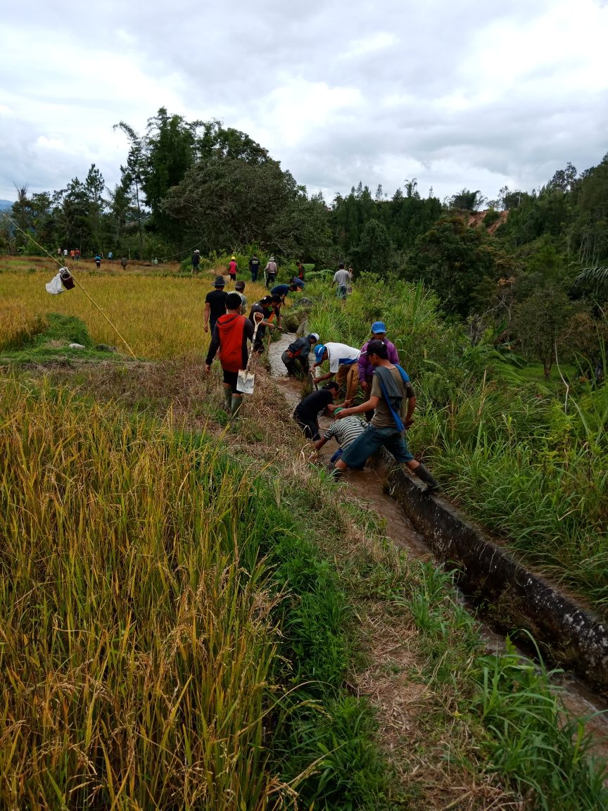 arpoyayan's tweet photo. Pelaksanaan #PadatKaryaTunai2018 didesa tondok bakaru
#ManfaatDanaDesa 
@Muhamma75165051 
@muhalysas 
@ArsanaSuma @JoniMamasa  @rionaldi_u https://t.co/jhWwOMttPI