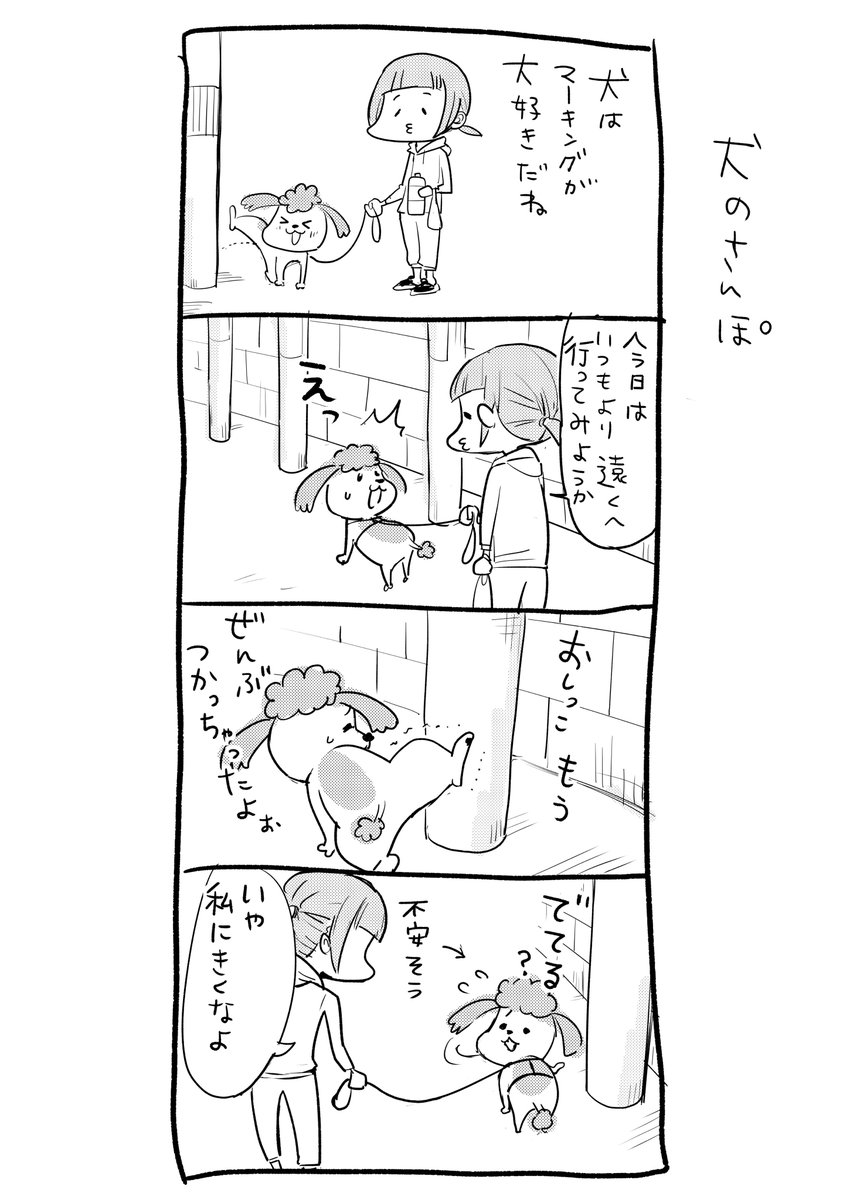 さんぽ中、配分が狂う犬がかわいかった話 