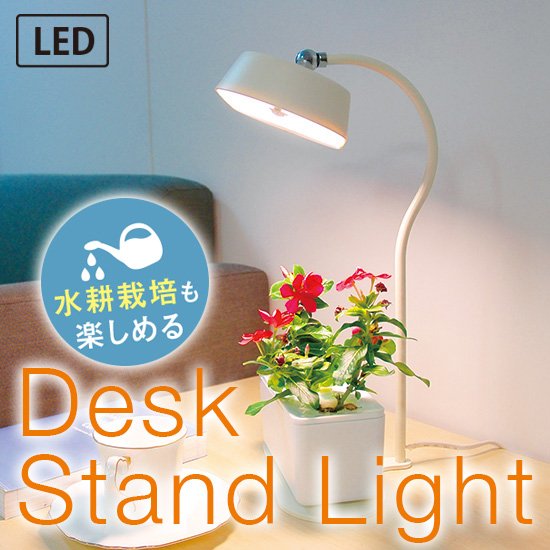Uzivatel Motom オリンピア照明株式会社 Na Twitteru デスクスタンドでも使えて ちょい足し野菜が水耕栽培もできるライトです T Co Rznhgthiri 照明 Led照明 インテリア照明 デスクスタンド ランプ 卓上スタンド 植物育成ライト 植物育成ランプ