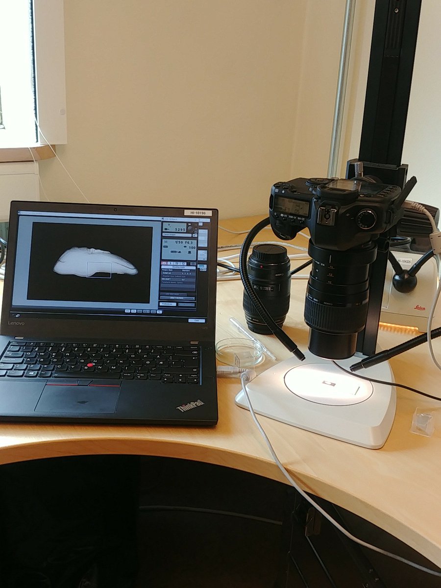 When your microscope isn't high-res enough and you need to improvise. #Canon future sponsor for #ios2022 ?