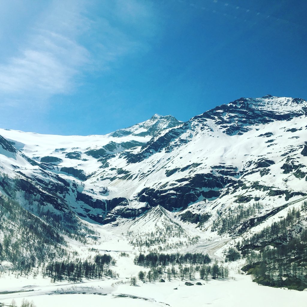 HanzoMagic's tweet photo. Best. Holiday. Ever. #europe #germany #swisalps #sunny #hot #austria #holland https://t.co/lMSsOIl15K