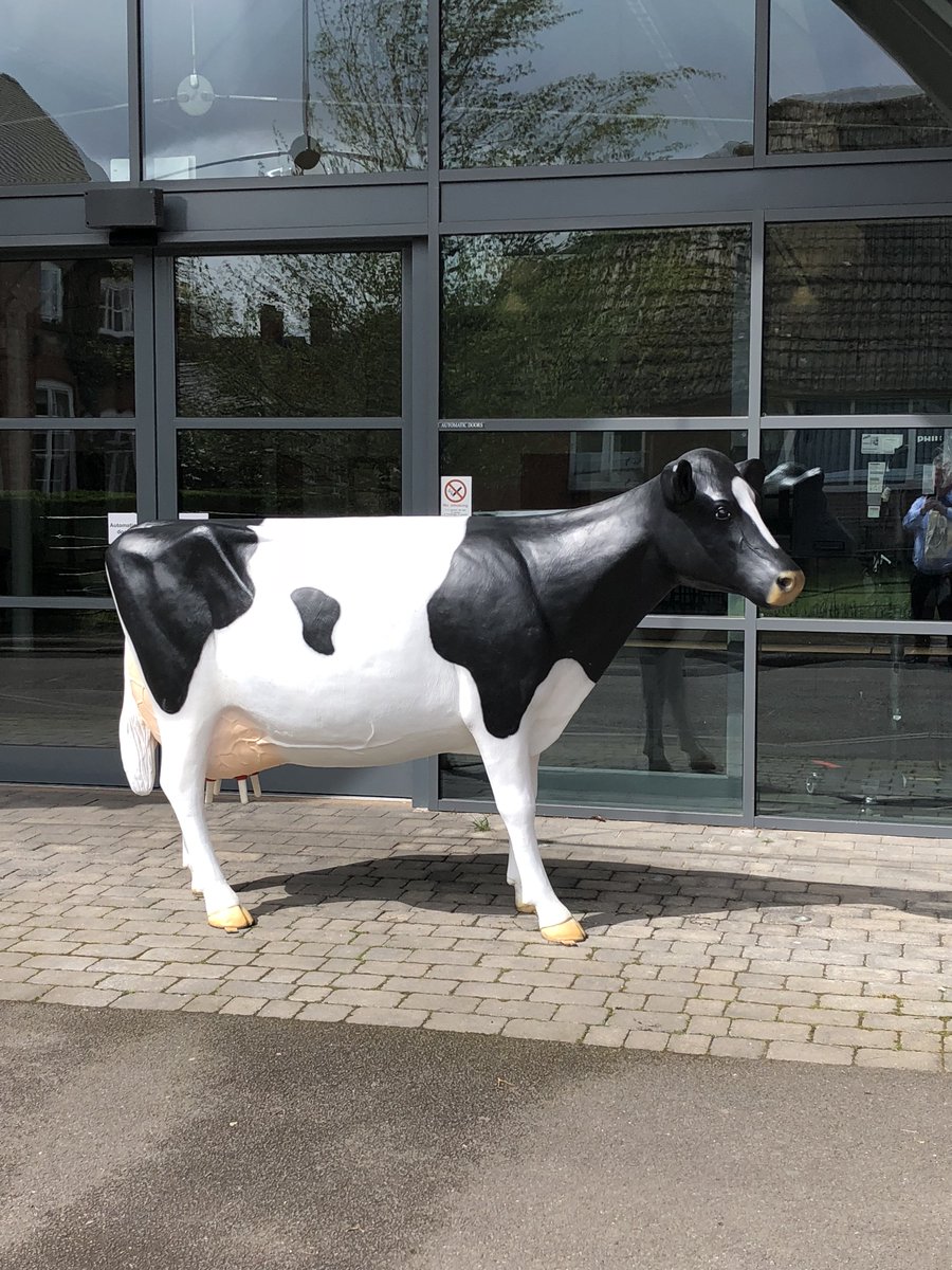 prof_andywilcox's tweet photo. Only working at @HarperAdamsUni is it totally normal to see full size model cows sporadically appear outside random buildings! #fakecows https://t.co/NU1WhtIAqd