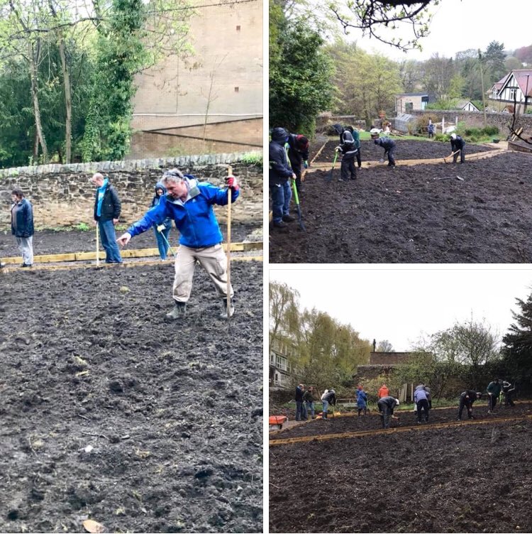 PhoenixFutures1's tweet photo. Purple Camel in Sheffield is underway with staff and residents at our residential service planting the first crop of spuds. #sustainability #recovery https://t.co/zco5yNCAWo
