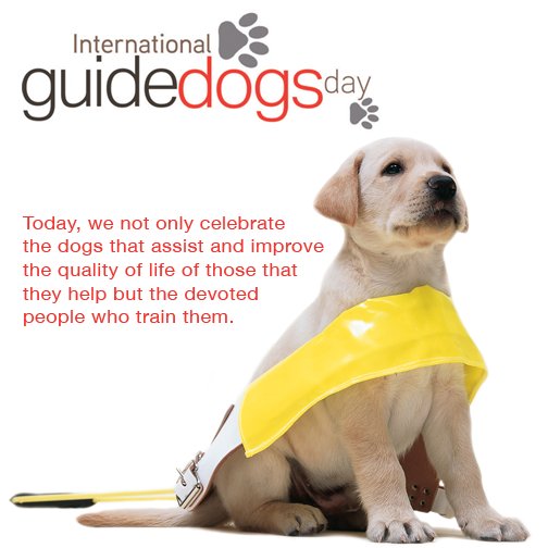 international guide dogs day