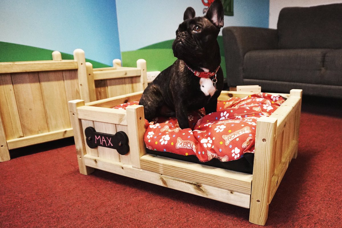 "Red Monkey unveils brand new, bespoke dog bed as part of product expansion plans!" Thank you Love Business - bit.ly/2AJhCZ7 #dogs
