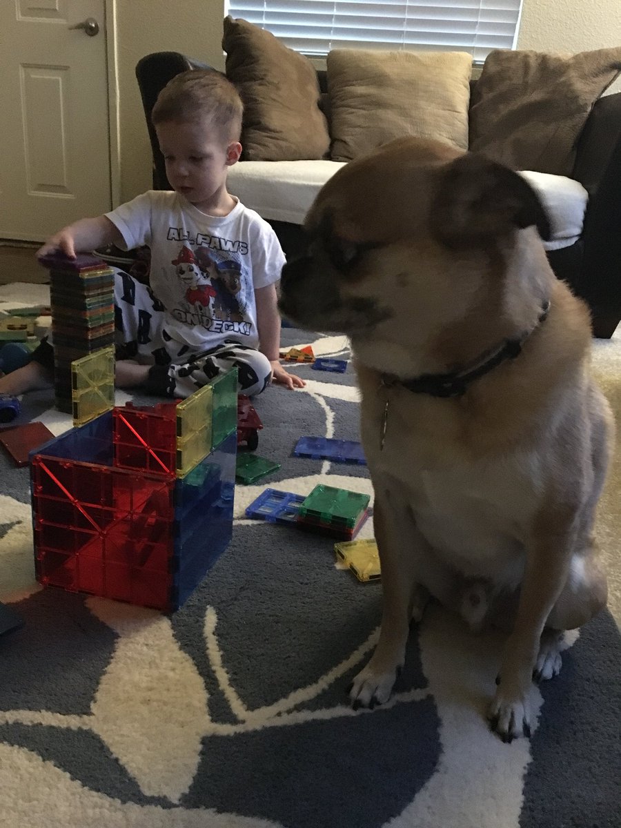 Lars Crawford tweet media