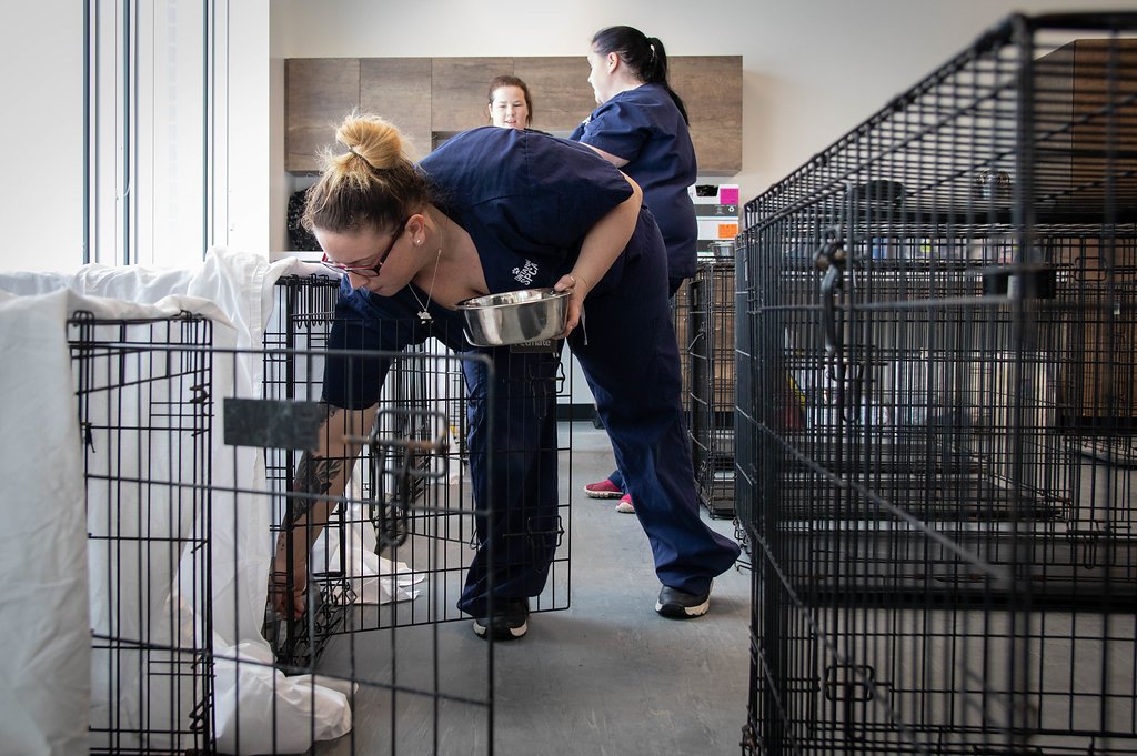 Thank you to our partners <a href="/SJAKingston/">St. John Ambulance</a>, <a href="/salvationarmyK/">The Salvation Army</a>, <a href="/redcrosscanada/">Canadian Red Cross</a>, <a href="/OntarioSPCA/">The Ontario SPCA and Humane Society</a> &amp; @SouthEastLHIN for participating in emergency readiness staff training at Rideau Heights Community Centre &amp; Library. Make sure your family is prepared for emergencies: bit.ly/1E1E1JA