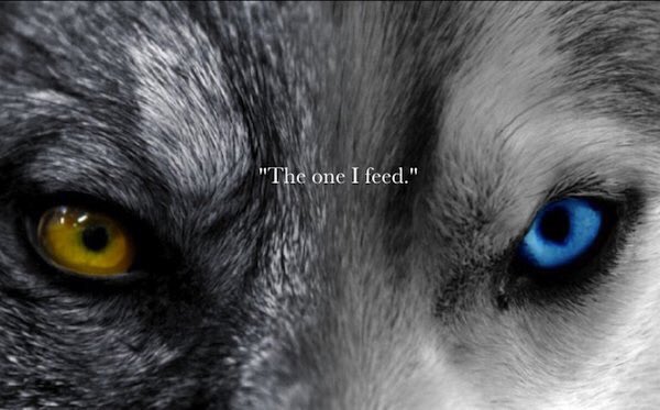 Wellperformance's tweet image. Do you feed the good wolf or evil? Whichever you give your attention to will grow and overpower the other. This isn’t about “positive thinking”..it’s about learning #attentionalControl through #deliberatepractice of specific #mentalskills. #Dothework #DoSo