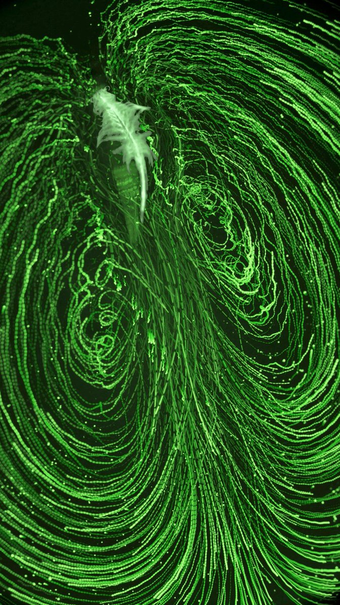 buy Robust Bayesian Analysis 2000