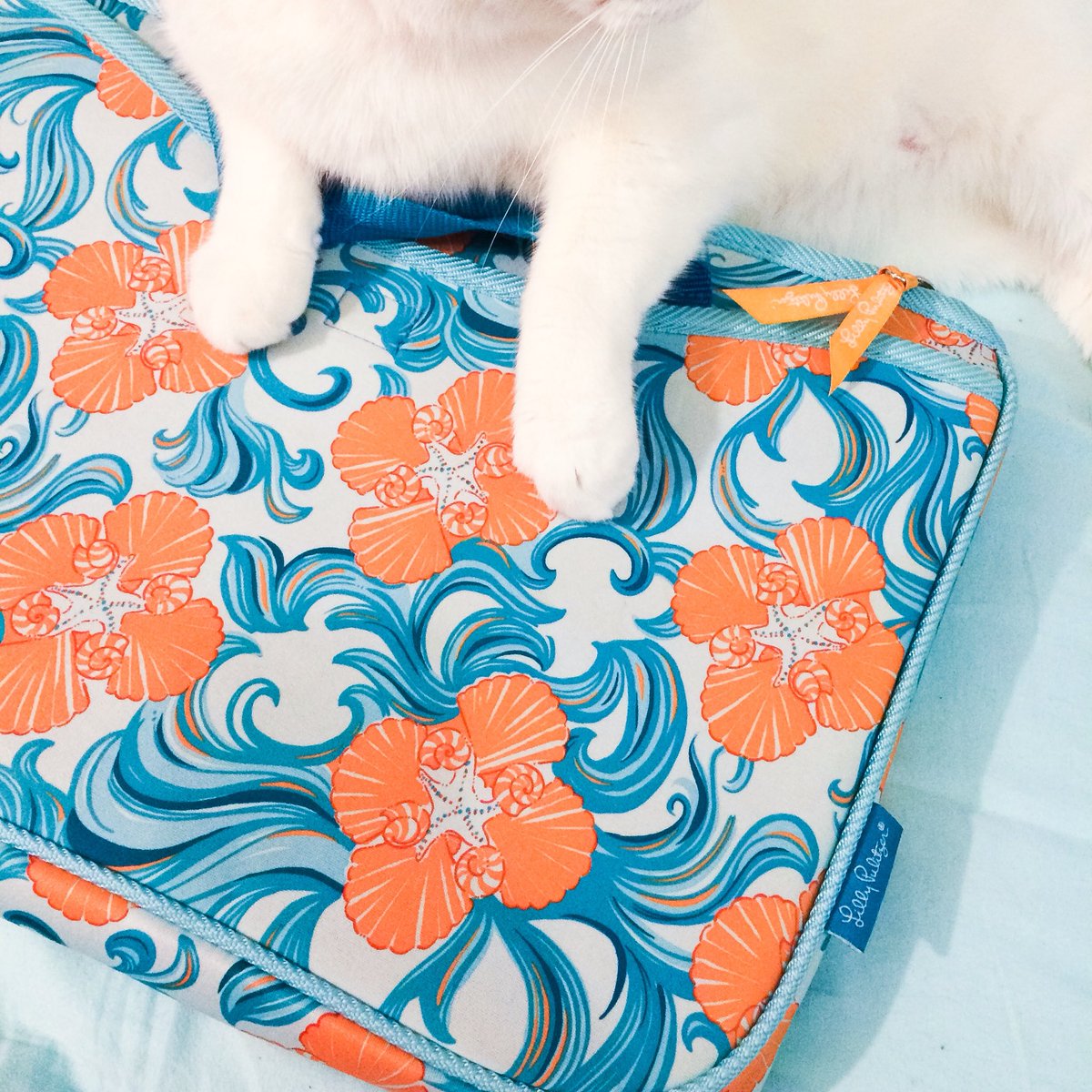 TheFloridaBlog's tweet photo. ❤️ing my "new" laptop bag by #florida legend @lillypulitzer. Seems like #thebastardjonsnow likes it more than I do, though! 🍊 #Lilly #lillypulitzer #resort365 #dothewave #fl #floridastyle  #flstyle #flgirl #floridagirl #shells #waves #lillylife #catsoftwitter #cat #cats https://t.co/wzbc4h3LMl