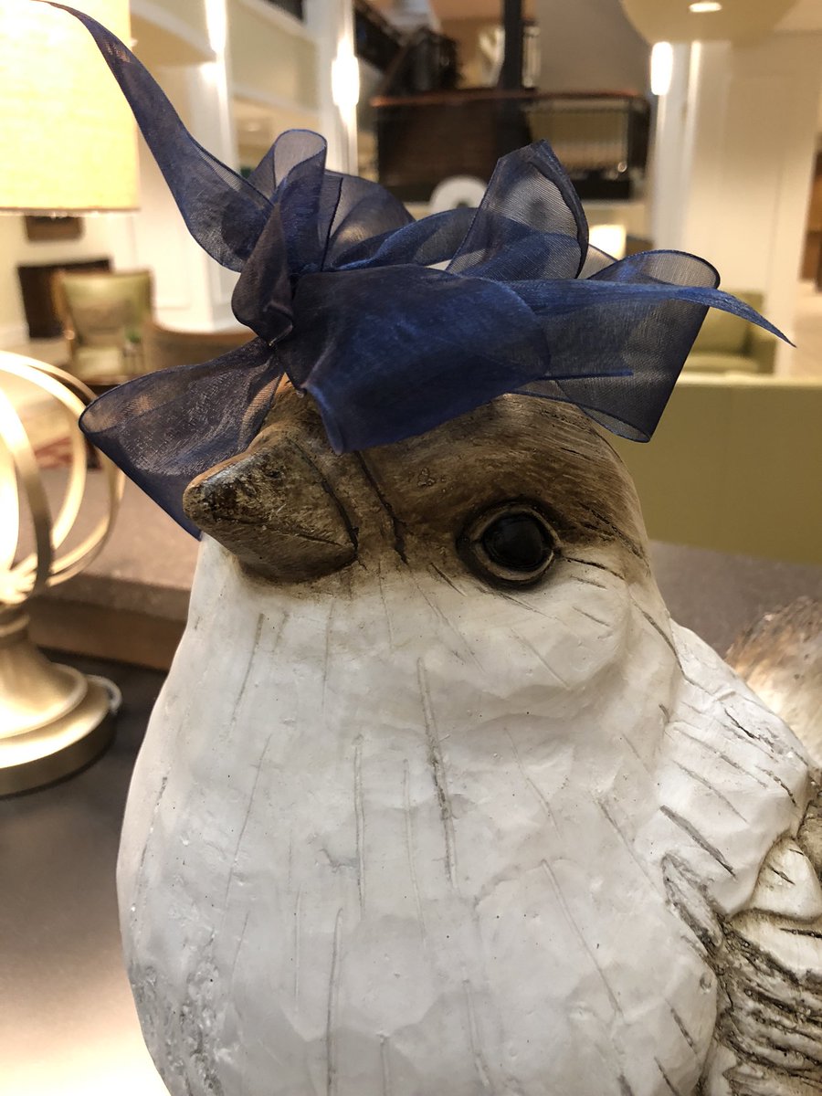 Y’all. I’ve been ACCESSORIZED. #tweettweet #JFBCbirds #fashion