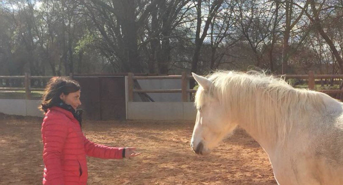 REquicoaching's tweet photo. « Le cheval enseigne à l’homme la maîtrise de soi, et la faculté de s’introduire dans les pensées et les sensations d’un autre être vivant. »
Alois PODHAJSKY
#EMPATHY #INTELLIGENCE EMOTIONNELLE #LEADERSHIPCONSCIENT https://t.co/WM9oCFEGSm
