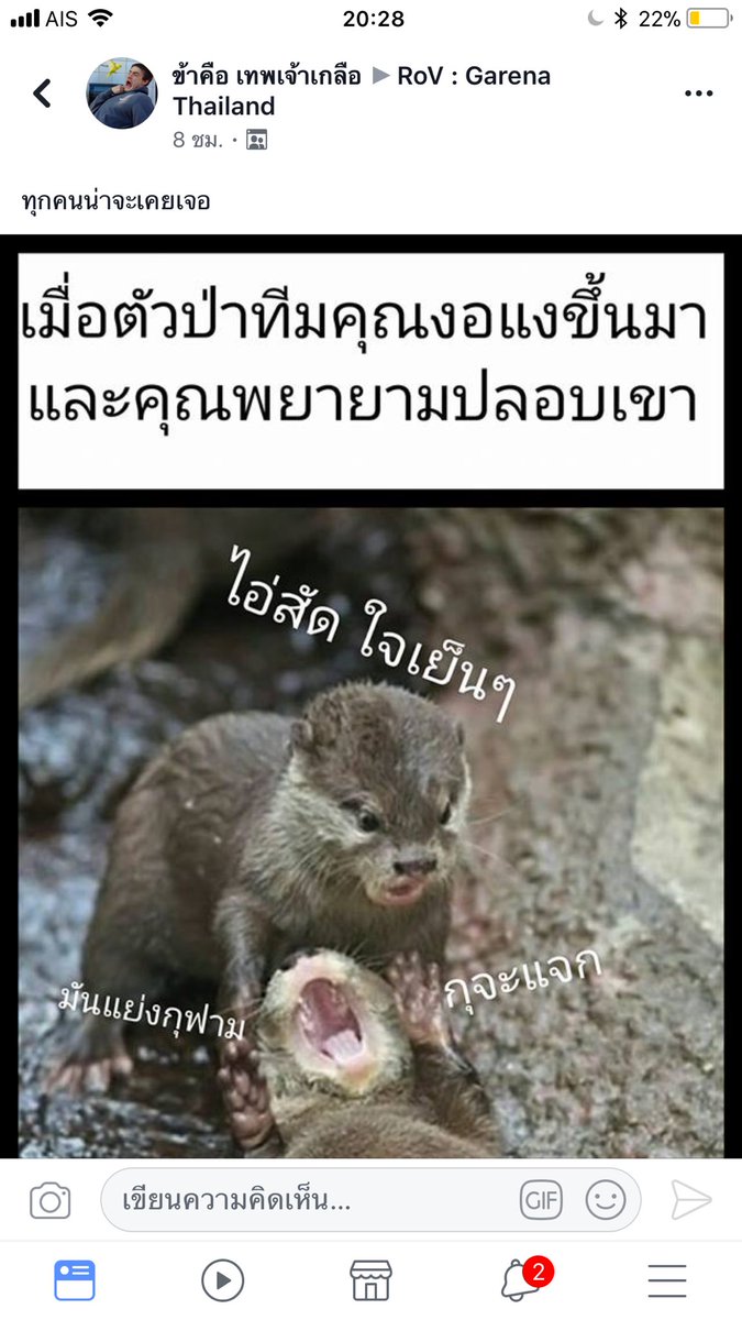4u2every1's tweet photo. โคตรใช่555 เวลาตัวป่างอแงกูนี่เเทบจะกราบตีนนน ฮืออออ #rov https://t.co/hFgBTrd5ad
