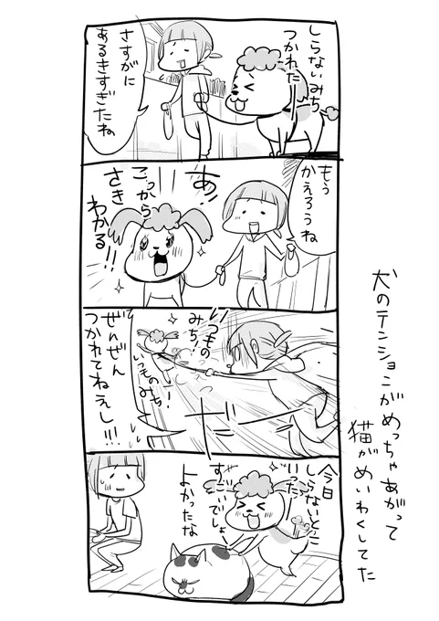 犬のテンションがあがりすぎて猫に迷惑をかけてしまった話 