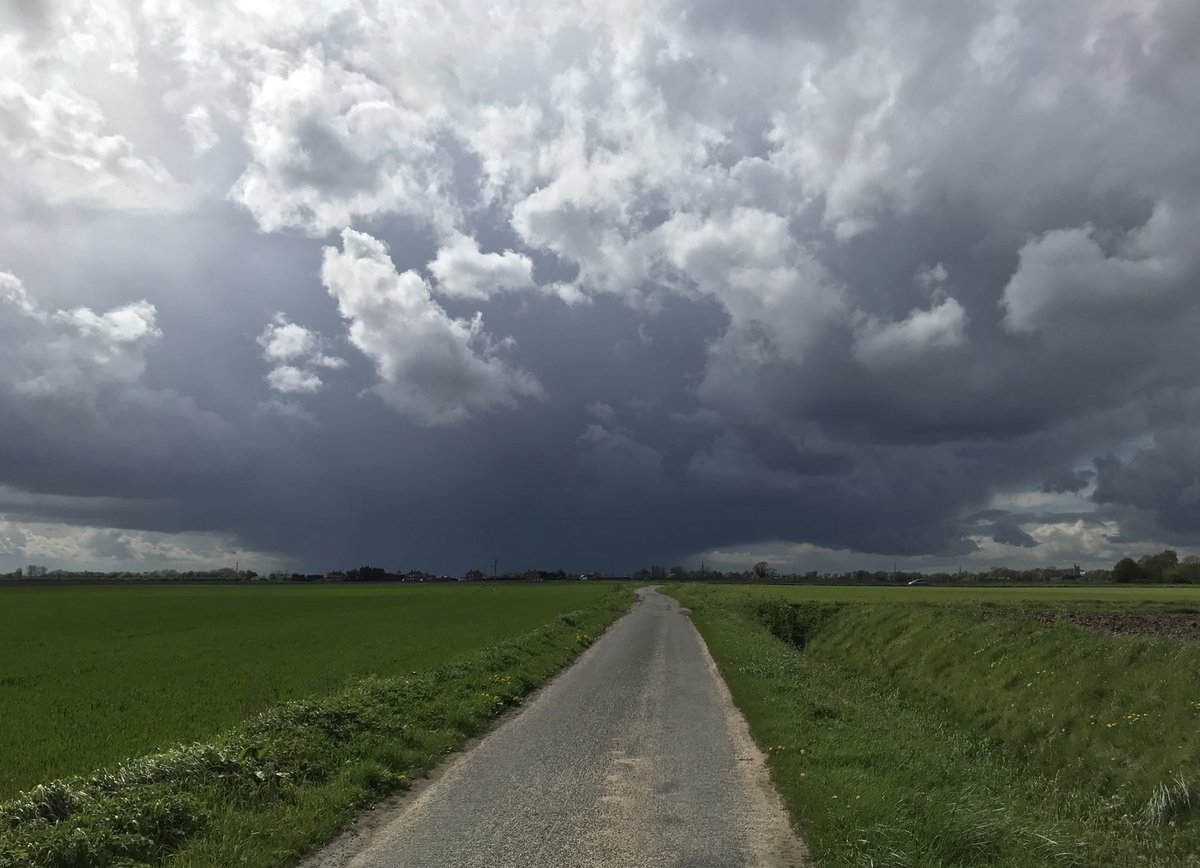 𝚜𝚞𝚣𝚞𝚔𝚊 tweet media