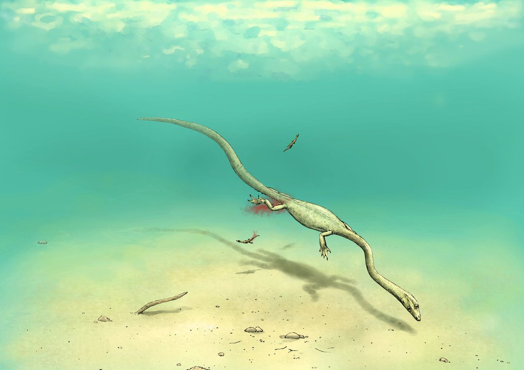 (image)