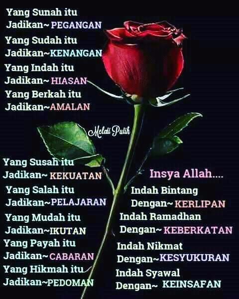 Tya01347987's tweet photo. https://t.co/YO89snuDch