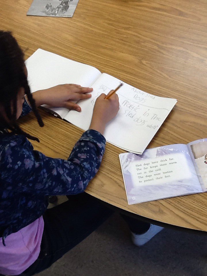 Mrs. Surdyk tweet media