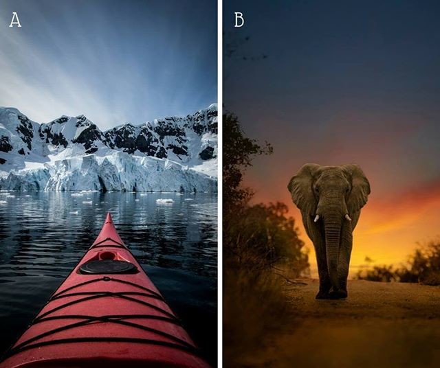 DesignSummit_'s tweet photo. Would you rather...
A- Go kayaking in Antarctica  OR 
B- Go on a safari in Africa?

#BucketListNetworking #travelblogger #traveltheworld #travelblog #ilovetravel #passportready #travelling #instatravelling #igtravel #travelingram #luxurytravel Repost @sapphire_kharyzma: https://t.co/HjTKsN2Dzs