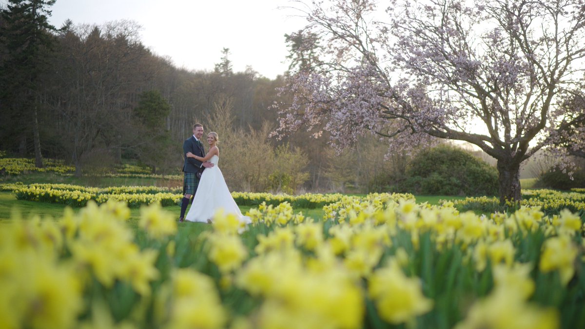 inspirevideo's tweet photo. Another shot from the wedding I filmed at @DunglassEstate on Saturday https://t.co/uhjeANCTtl
