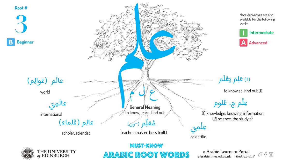 OERabic's tweet photo. Keeping the momentum going🚶‍♂️- let's explore another popular root-word (علم) i.e. to know, learn, find out. 
Be warned ⚠️ this root which might have the highest no. of derivatives in Arabic cir. 50
MUST-KNOW ARABIC ROOT WORDS: Root-Word #03: علم
#RootWords #ArabicVocabulary https://t.co/F5G3WsNeG6