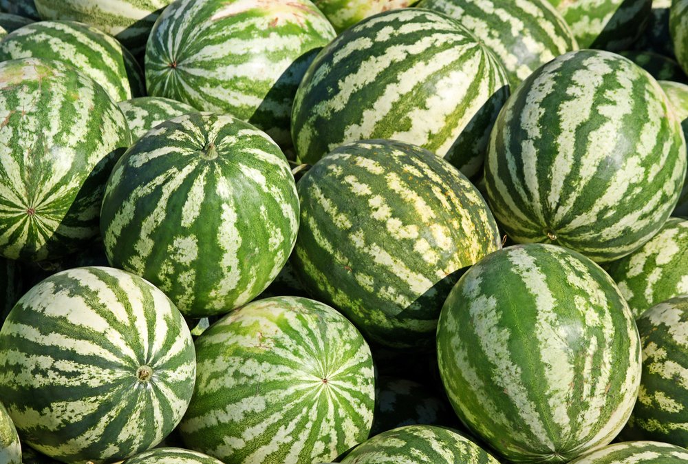 Melon shortages likely over the coming weeks. For more, click on the link below.
freshdirect.co.uk/wp-content/upl…
