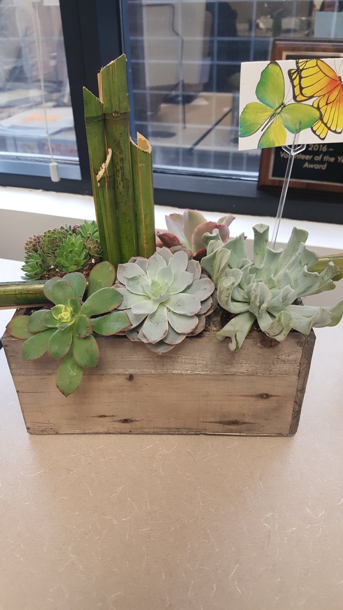 Aplin_Ottawa's tweet photo. We surprised our Admin with a beautiful succulent arrangement! How are you celebrating the Administrative Professionals in your lives?
#administrativeprofessionalday #appreciation #thankyou #admins #succulents https://t.co/DoKSvL0db9