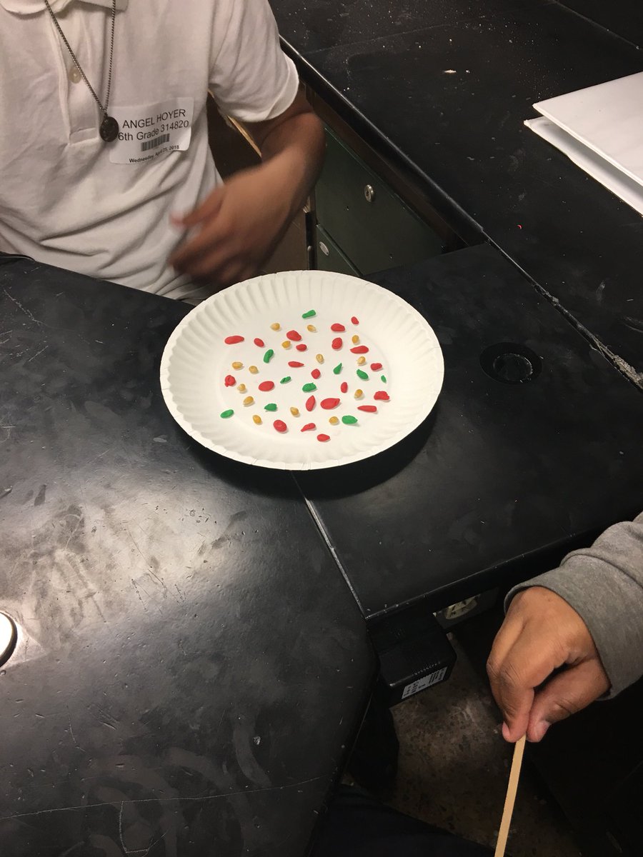 lfoot56's tweet photo. W&amp;Y Mr Weekly and 6th grade science students exploring and modeling what they observe under their microscopes https://t.co/nDBEtc1ISz