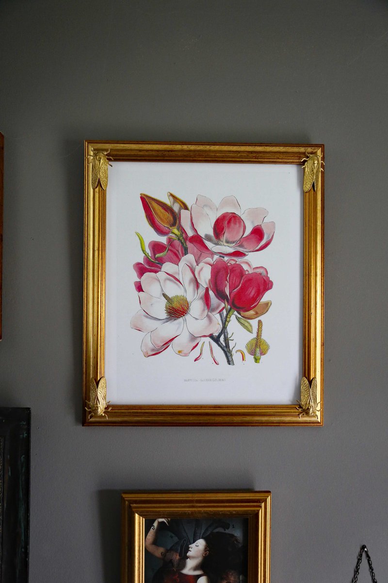 DianneADrew's tweet photo. #Upstyled #vintage gold (wood) frames and mirror w/ #cicada in my #etsy shop! £23/£27/£65incl UK shipping.
#interiors #decor #home #vintagehome #entomology https://t.co/Uqu4KbaFdz