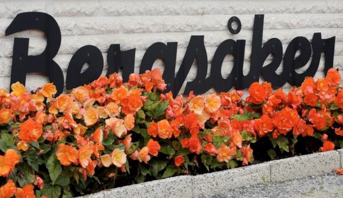 Bergsåker rockar loss!
travronden.se/nyheter/sport/…