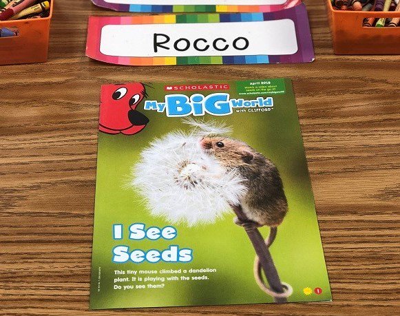 J_BehrensEditor's tweet photo. Fun plant and seed ideas to do with your pre-k class. Plus MBW "I See Seeds" issue—free online this month! https://t.co/hS8IjSINOA
#preschool #prek #prekteacher #plantlessons #seedlessons #springlessons #mybigworldmag #mbwmag #scholastic https://t.co/dwGtcyNCzZ