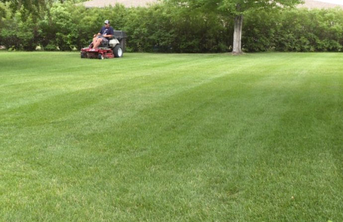 lawncarecairns hashtag on twitter local lawn mowing service