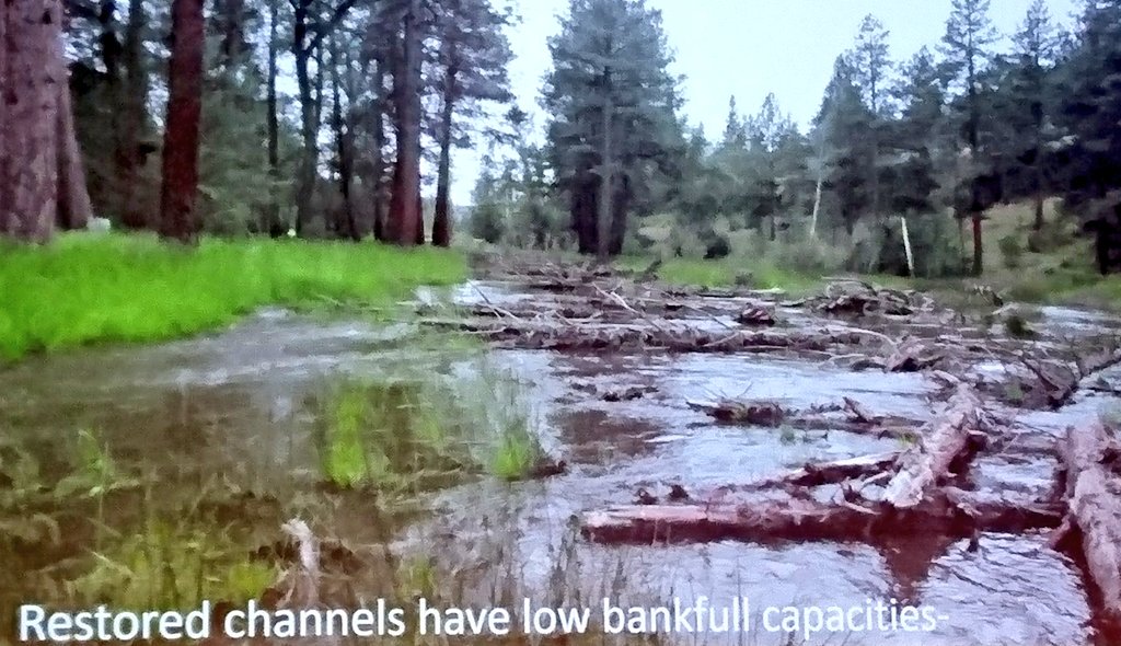 olylowe's tweet photo. "If you can't wade across the channel in the 2 year flood it's too big"
"When engaging with rivers - Always think outside the channel!"
From the #geomorphology giant Colin Thorne at @The_RRC #RRCNottingham
Brilliant, motivational presentation! https://t.co/djTO7VIMI2