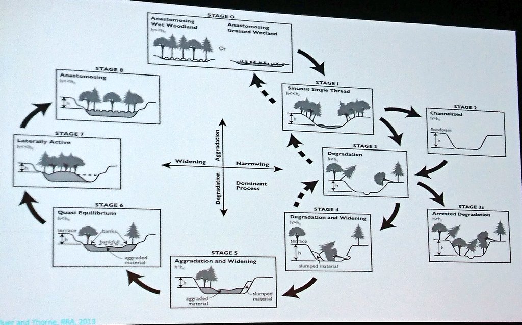 olylowe's tweet photo. "If you can't wade across the channel in the 2 year flood it's too big"
"When engaging with rivers - Always think outside the channel!"
From the #geomorphology giant Colin Thorne at @The_RRC #RRCNottingham
Brilliant, motivational presentation! https://t.co/djTO7VIMI2