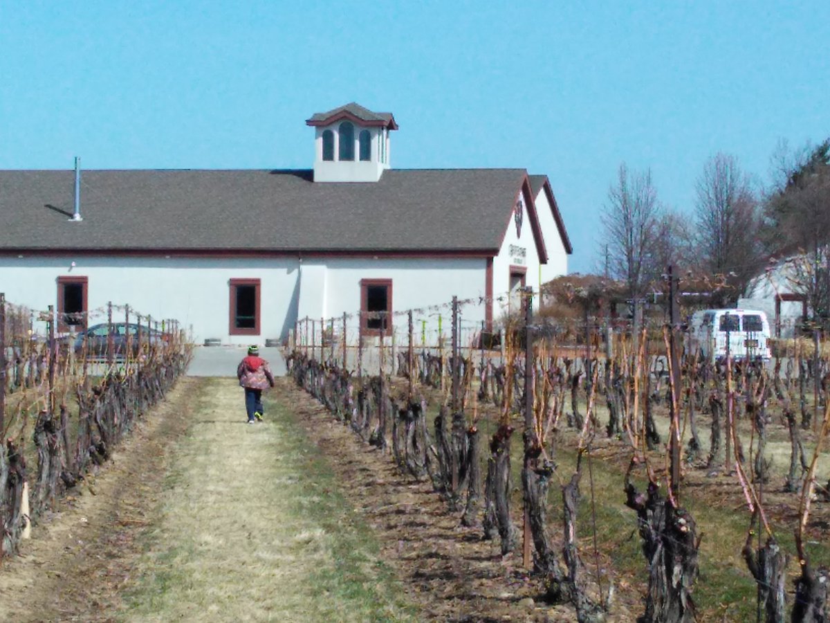 Niagara_DayTour's tweet photo. Our popular full day Niagara winery tour is in full swing and our passengers are loving the wines and the beautiful Niagara region.  Our minibuses have been full all through April and we are expecting another busy month in May with the warmer Spring weather finally here! https://t.co/GJK39OzJBp