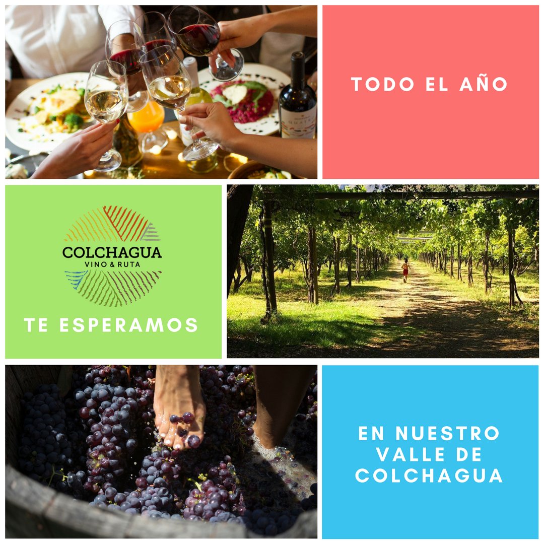 Unidos hemos trabajado por 20 años dedicados a ofrecer lo mejor de  nuestra tierra. Nos esforzamos día a día para destacar los frutos de  nuestro valle de Colchagua, su gente, artesanía, turismo y nuestros  premiados vinos. Gracias a nuestras Viñas de Colchagua AG