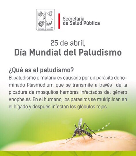 25 de abril, #DíaMundialDelPaludismo ¿Qué es?